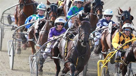 fixed odds harness racing|Harness Racing Tips .